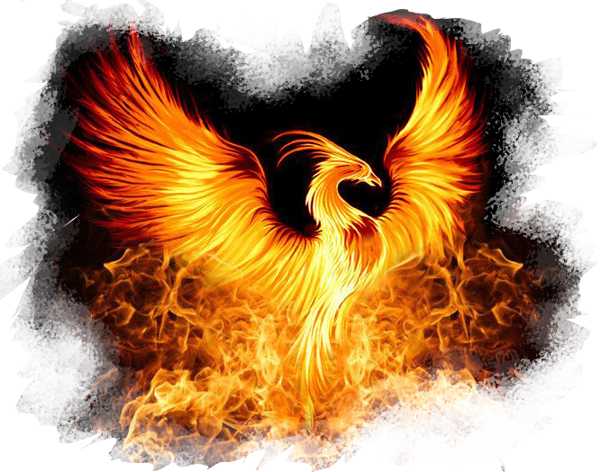 5cfeaf56445ab-unnamed (2).png