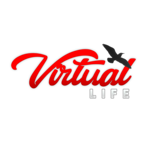 5d4499ab52726-Virtual life 300 300.png