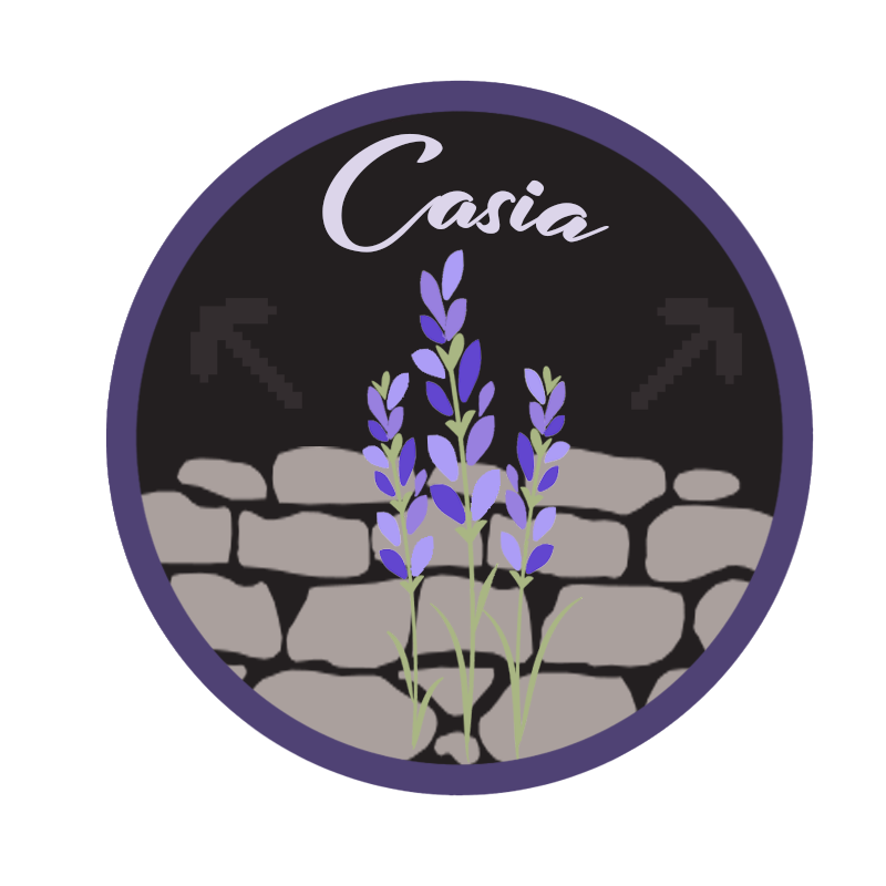 5e281d0575902-casia logo v3.png