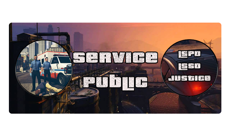 5f3cf24b57e02-service Public.png