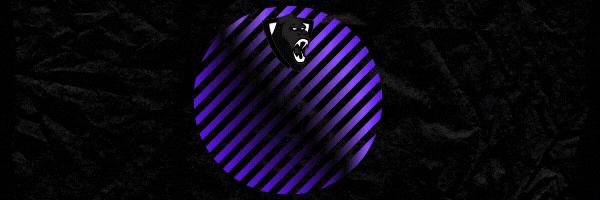 5fac2381456ce-GORILLA pub.gif