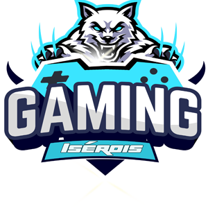 60115f8e0415f-300x300gamingiserois.png