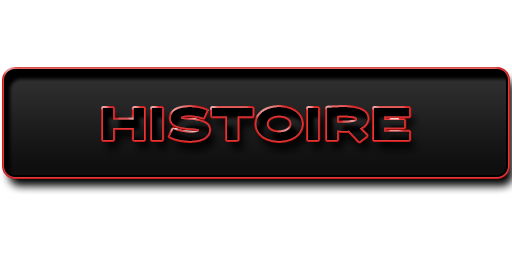602c116de5959-image topserver histoire.png