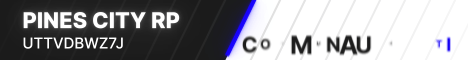 60fc8bef953f1-Bannière Pines City.gif