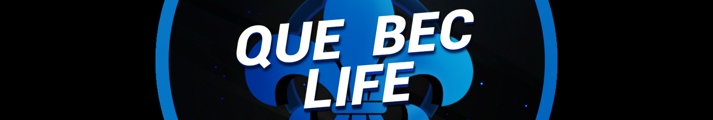 61031227105ed-Sans titre.png