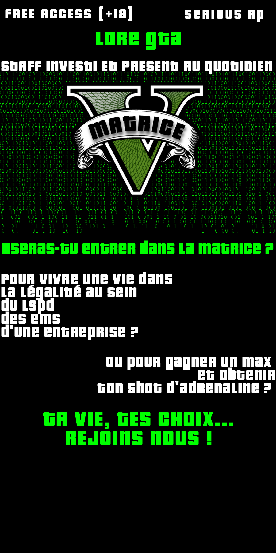 625587dd0de06-image top serveur.png