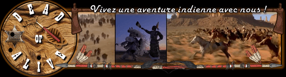 6266ba4b8233c-Gif-pour-PUBLICITE-SERVER-n°2.gif