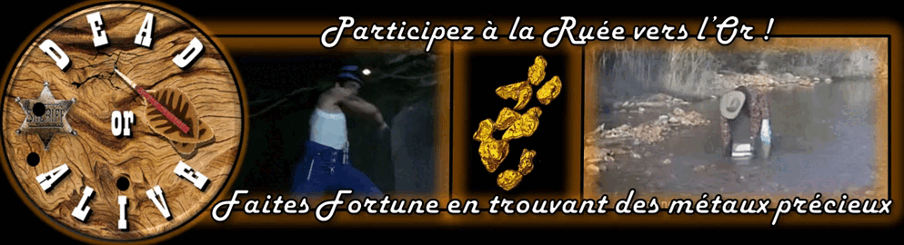 6266c7f138ca1-Gif-pour-PUBLICITE-SERVER-n°7.gif