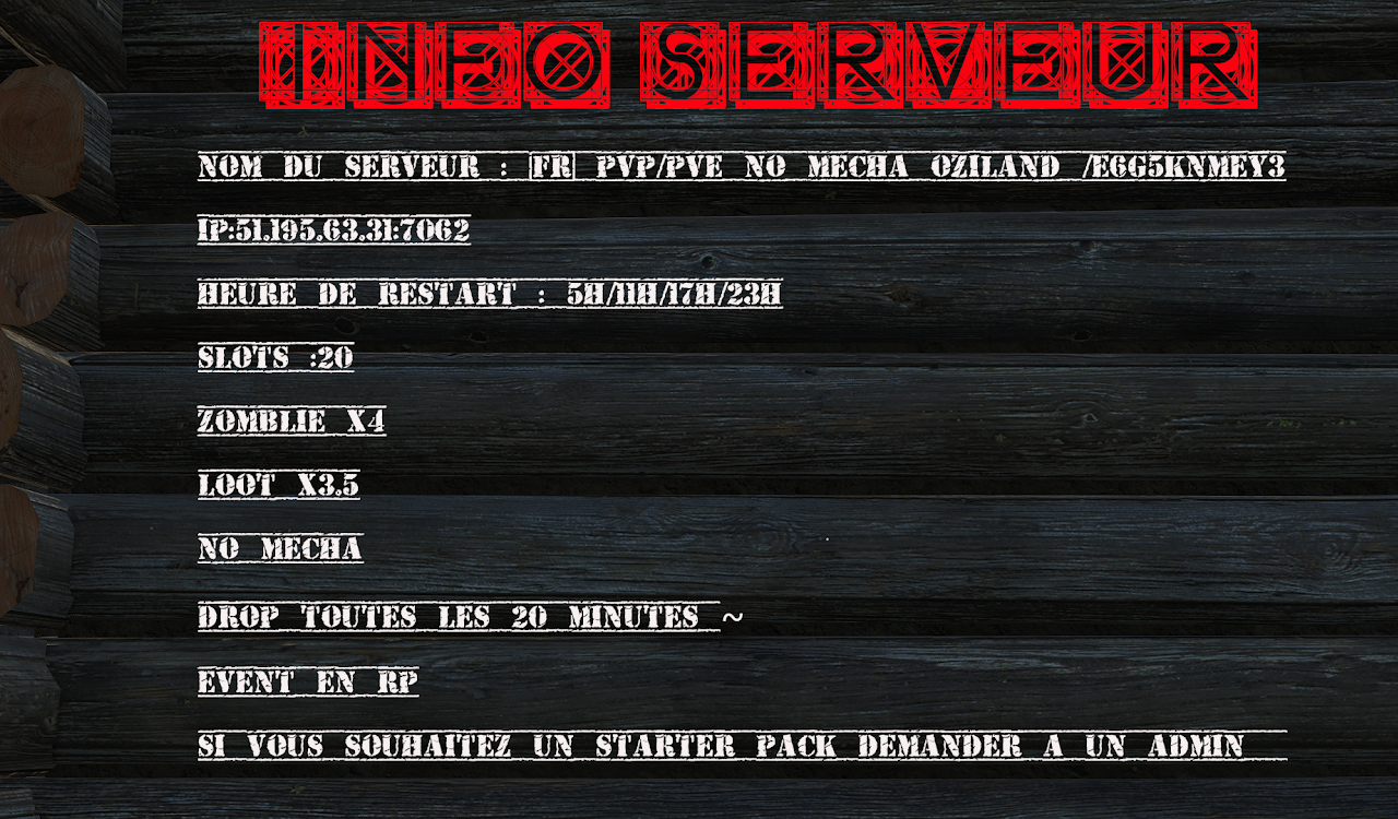 6336a2dd4fdf4-info serveur.png