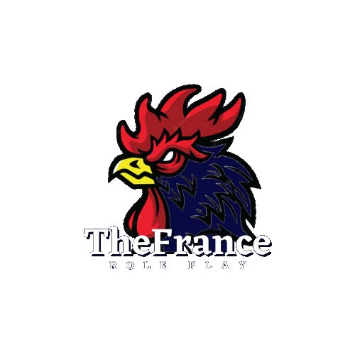 63b218bd74ada-logo_thefrance3d.png
