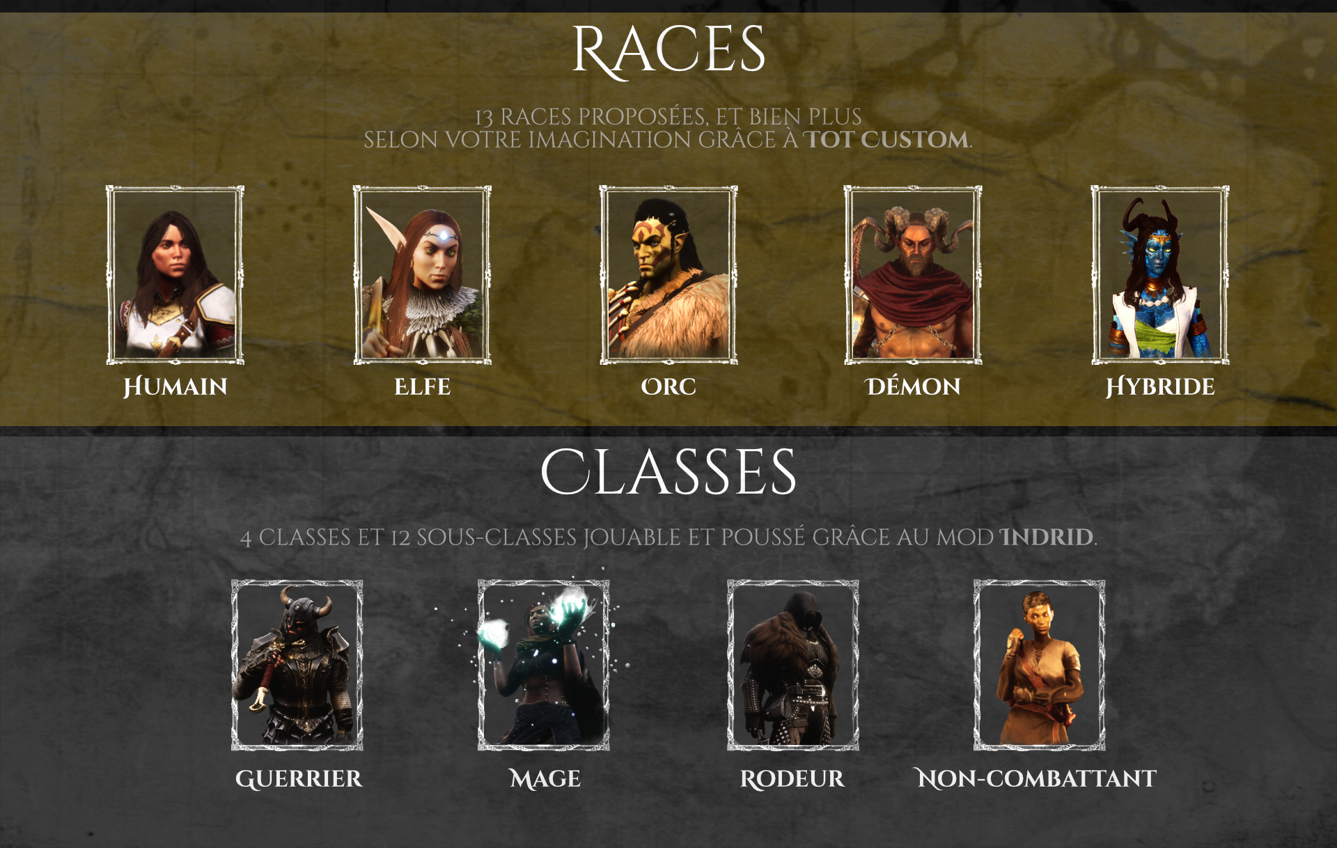 64541b5100063-01_RacesClasses.png