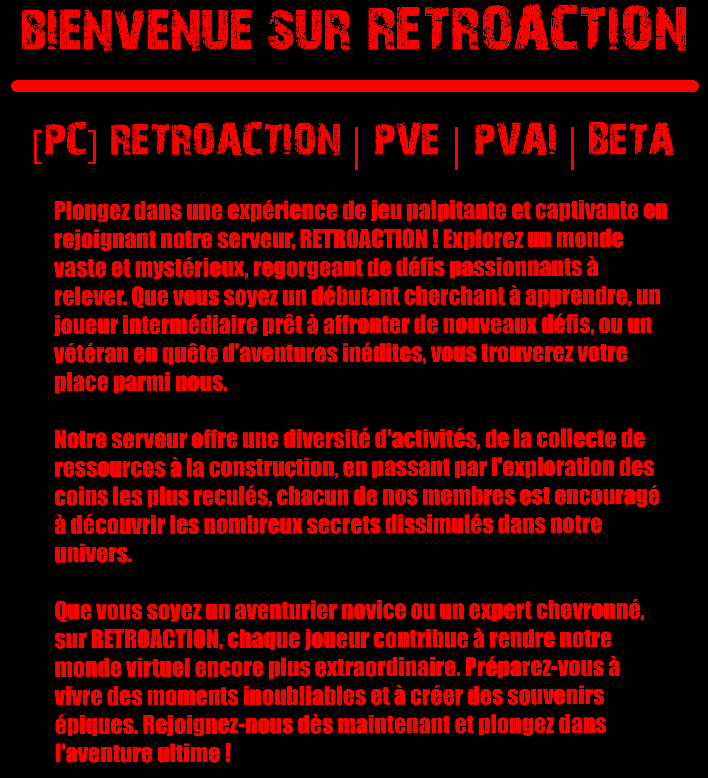 654f940ec5dac-topserveur retro1.png