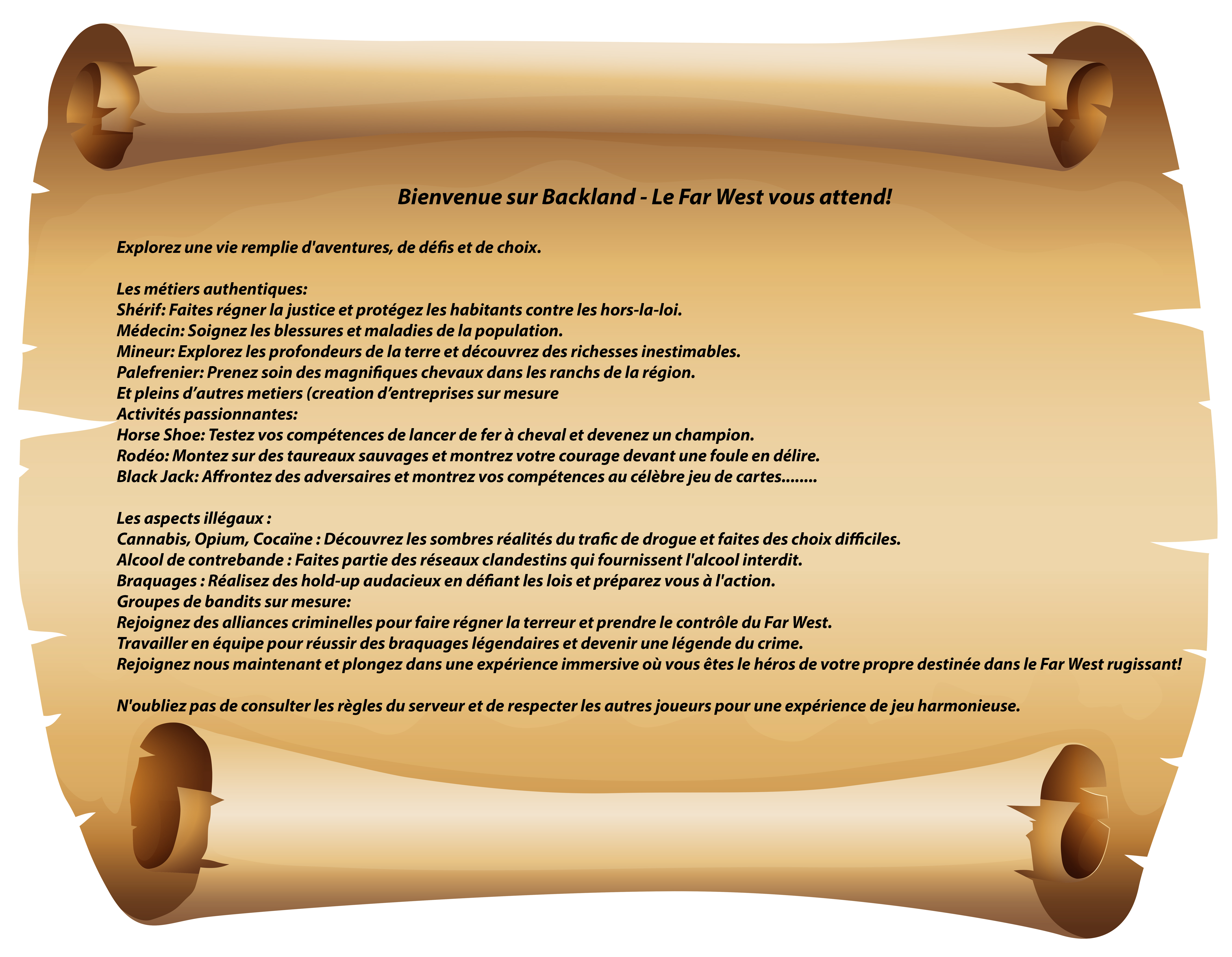 655dc0ca7c09a-affiche backland top server.png