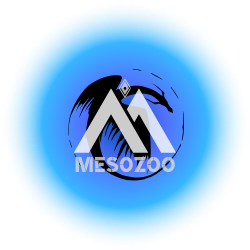 658c135f8cc4a-Design sans titre(4).png