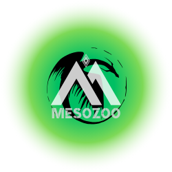 658c13bb5f818-Design sans titre(2).png