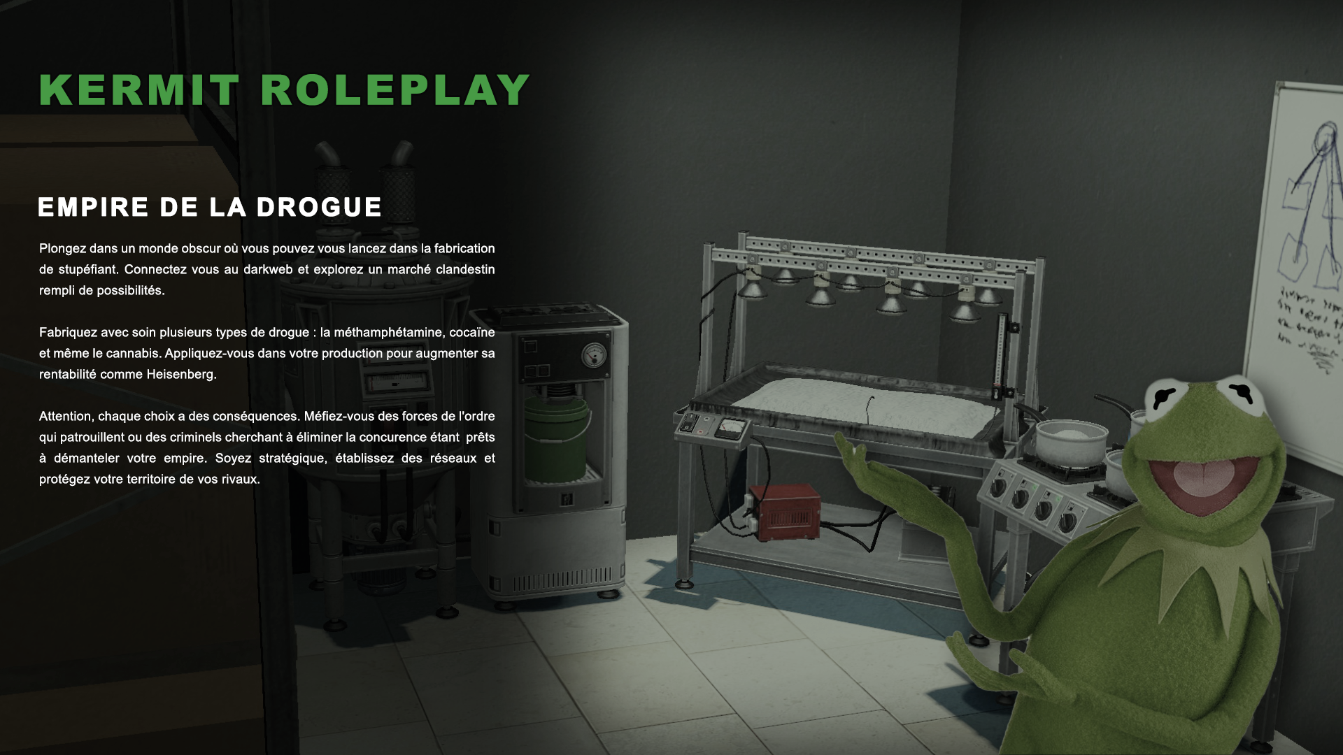 65c3b20d85b90-KERMIT RP INFO DROGUE.png