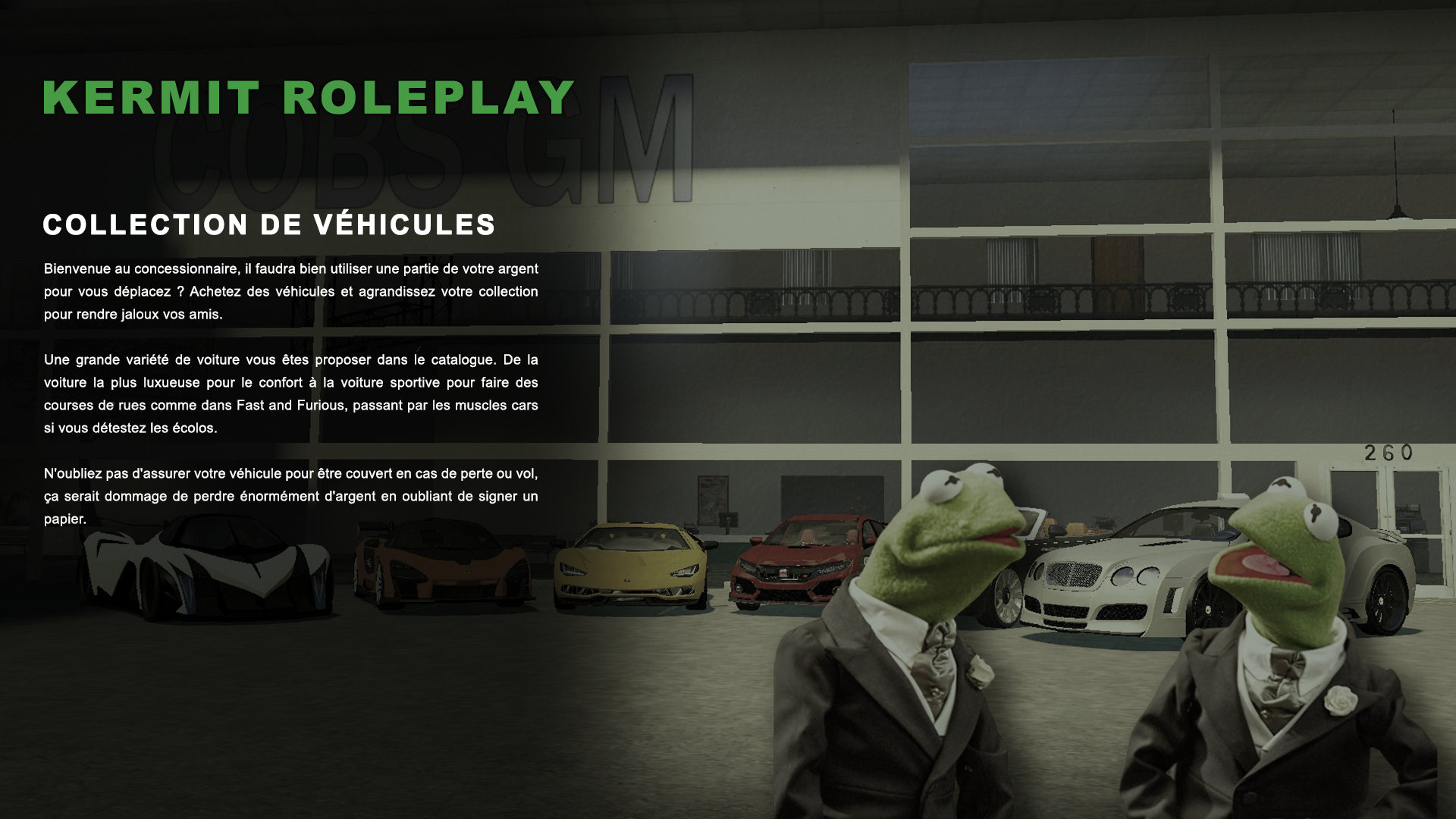 65c3b21fe624c-KERMIT RP INFO VEHICULE.png