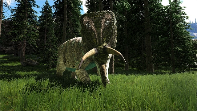 65db8ea566aeb-téléchargé (1).jpg