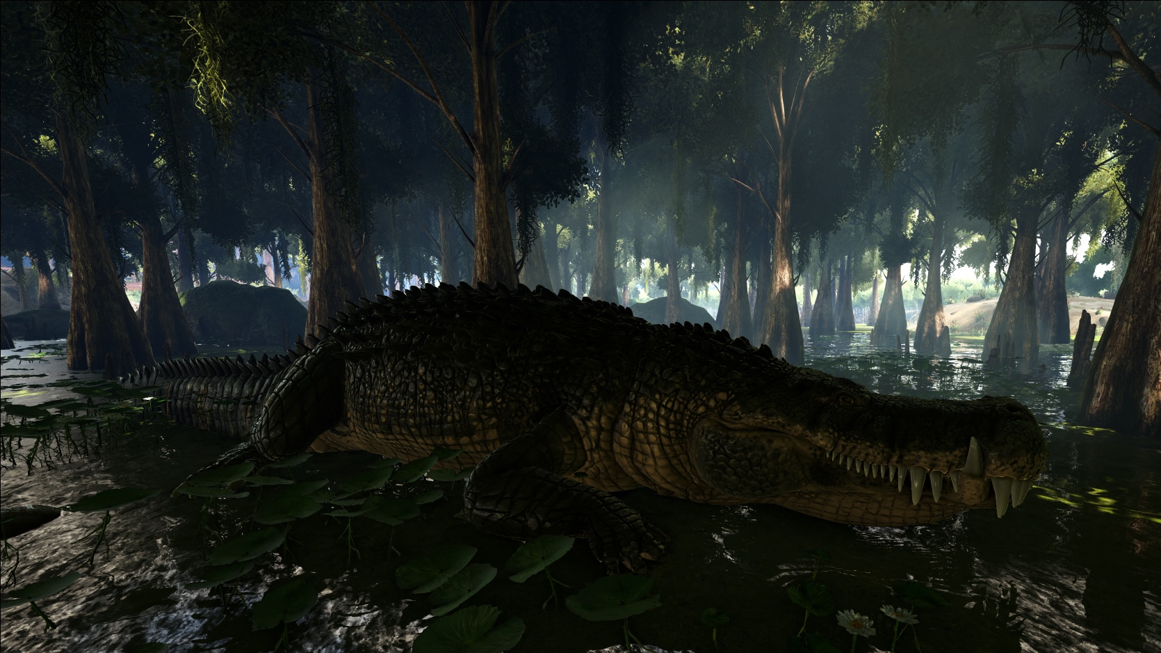 65db8efa9acb6-téléchargé (9).jpg