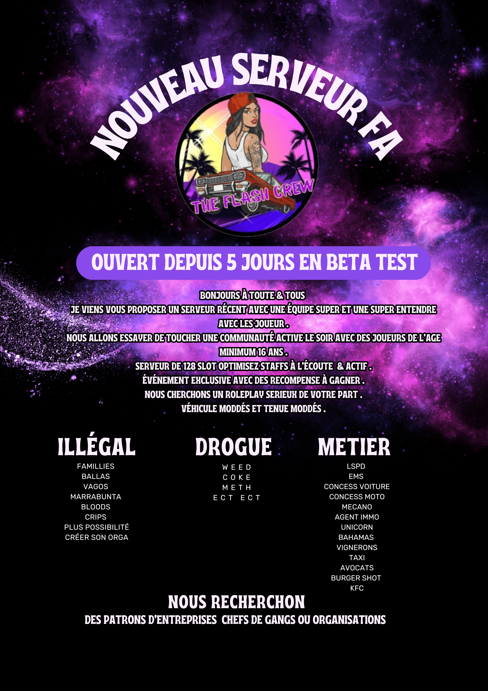 666be331e8b8b-Nouveau serveur fa.png