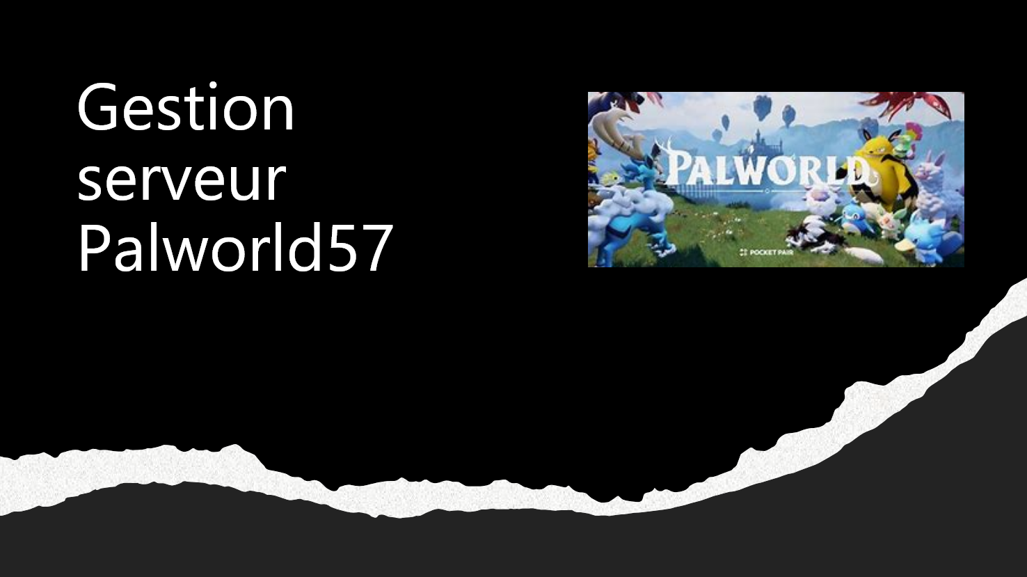 669ffd91a7008-palworld france.png