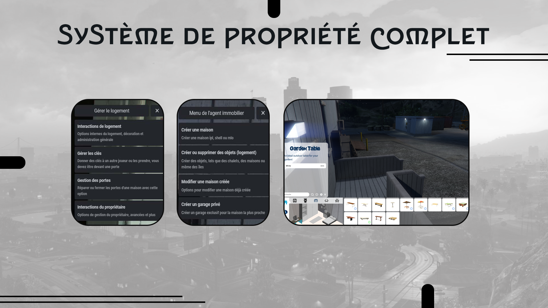 66d31cd042850-Systeme_de_propriete_complet.png
