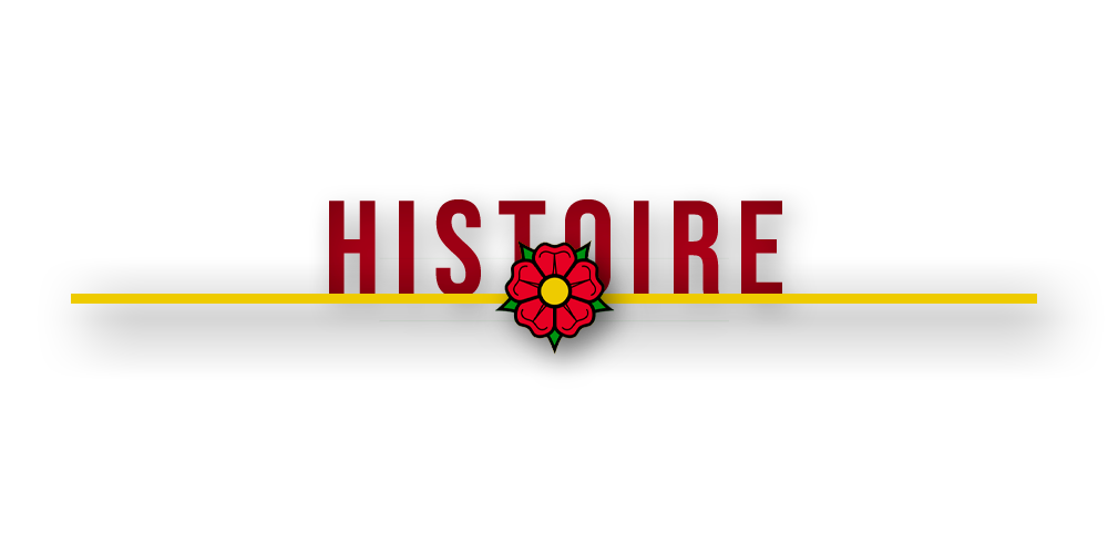 66ec9637e8e13-Histoire_Separateur.png