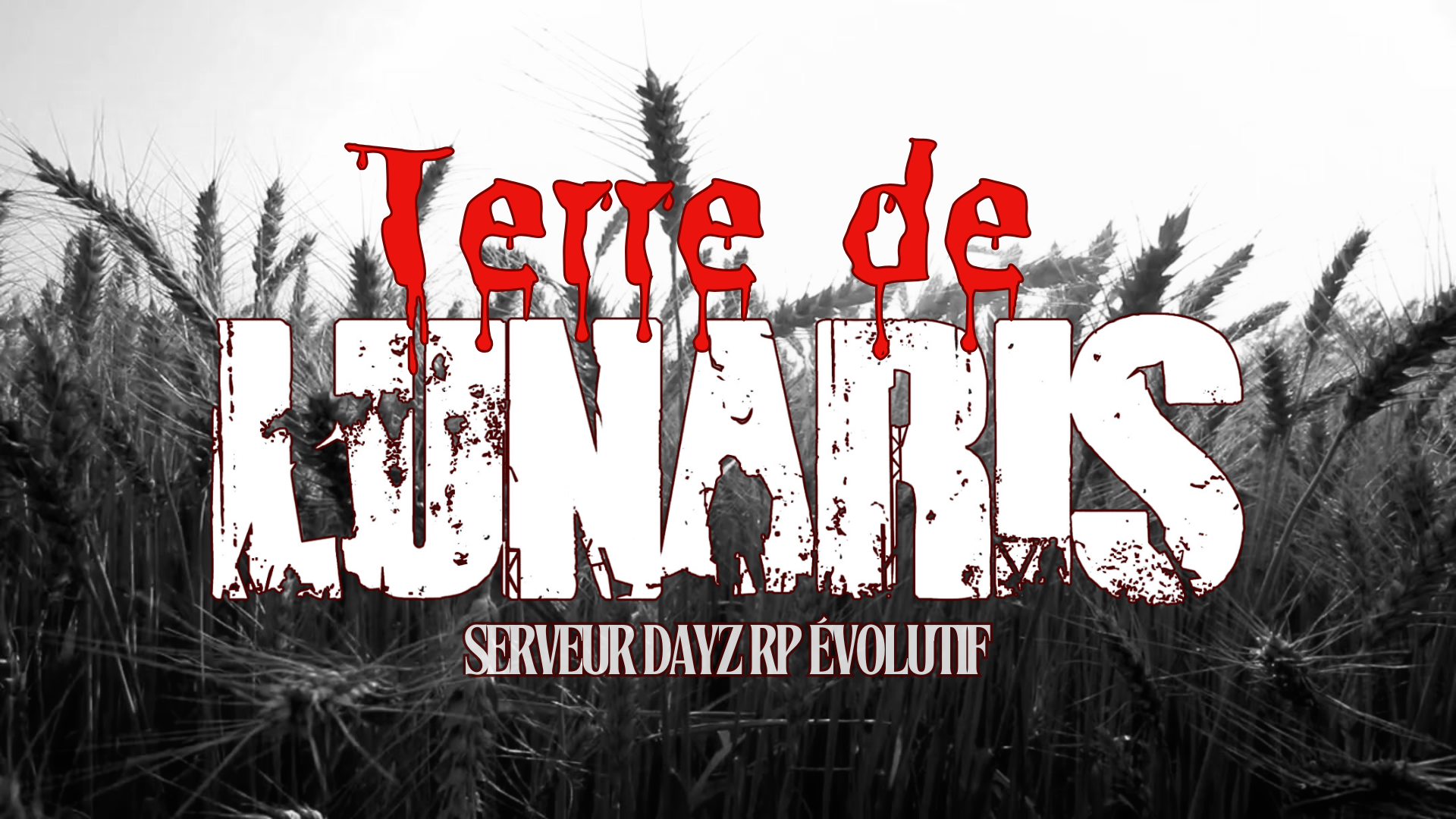 6707fbd591c6a-Design sans titre (8).png