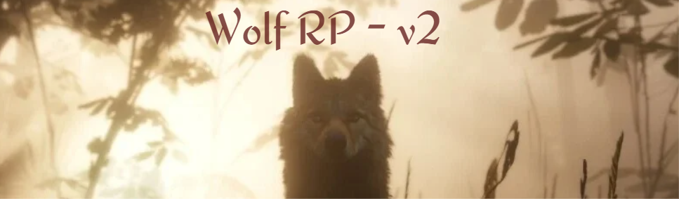 67603906e9211-Capture d'écran 2024-12-16 150445.png