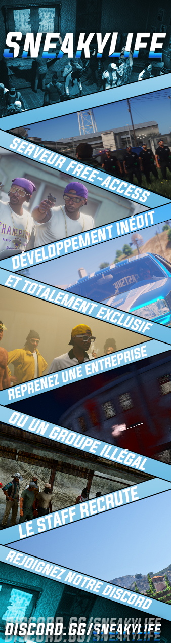 67d720ec1c609-topserveur_affiche.png