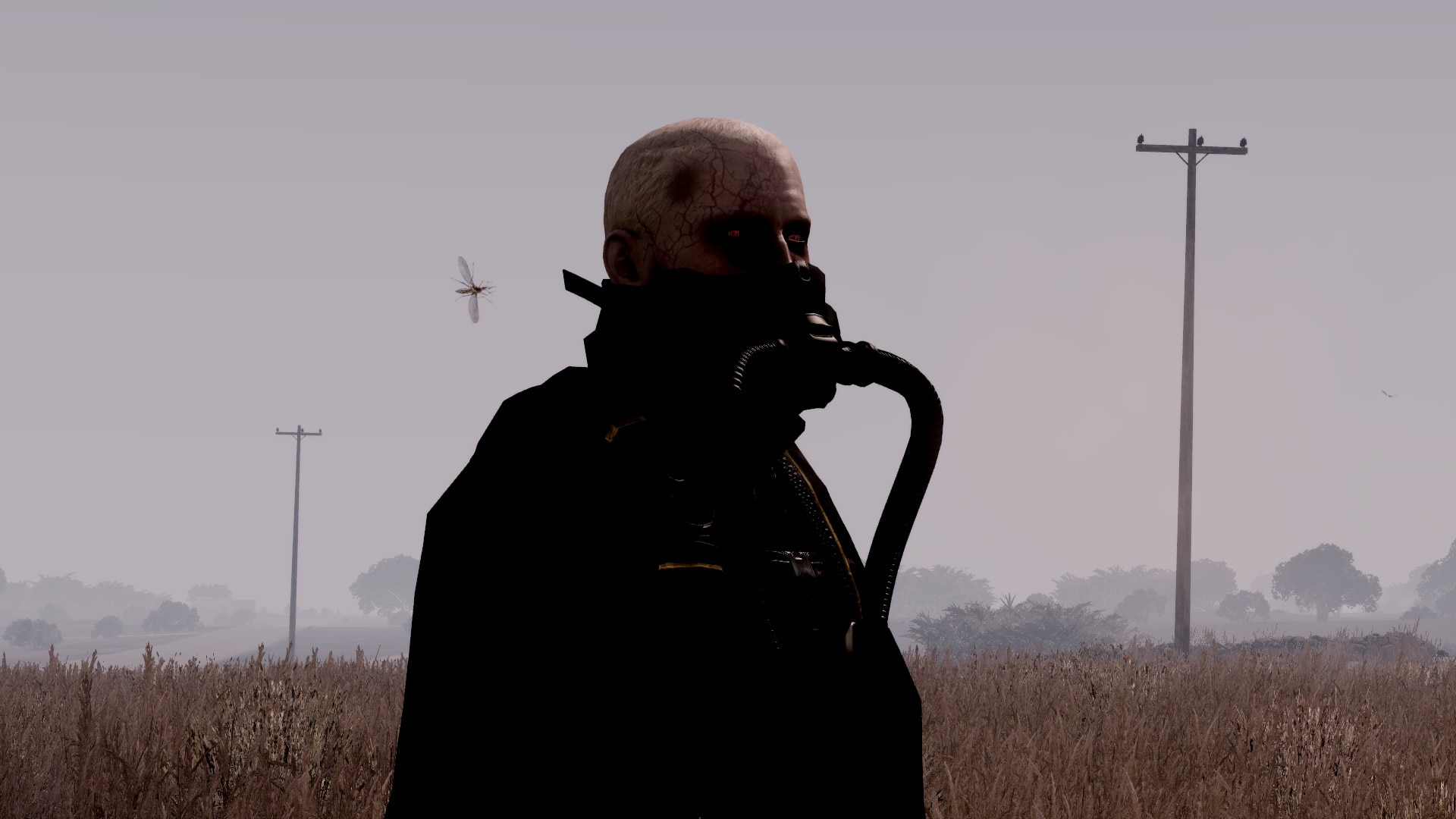 682594ab9d004-téléchargé (22).jpg