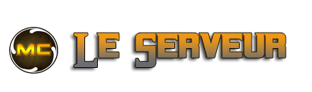 69b695f773775-le-serveur.png