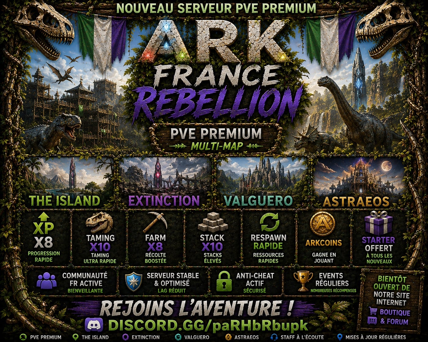 69fd36d63f4df-top serveur 02.jpg