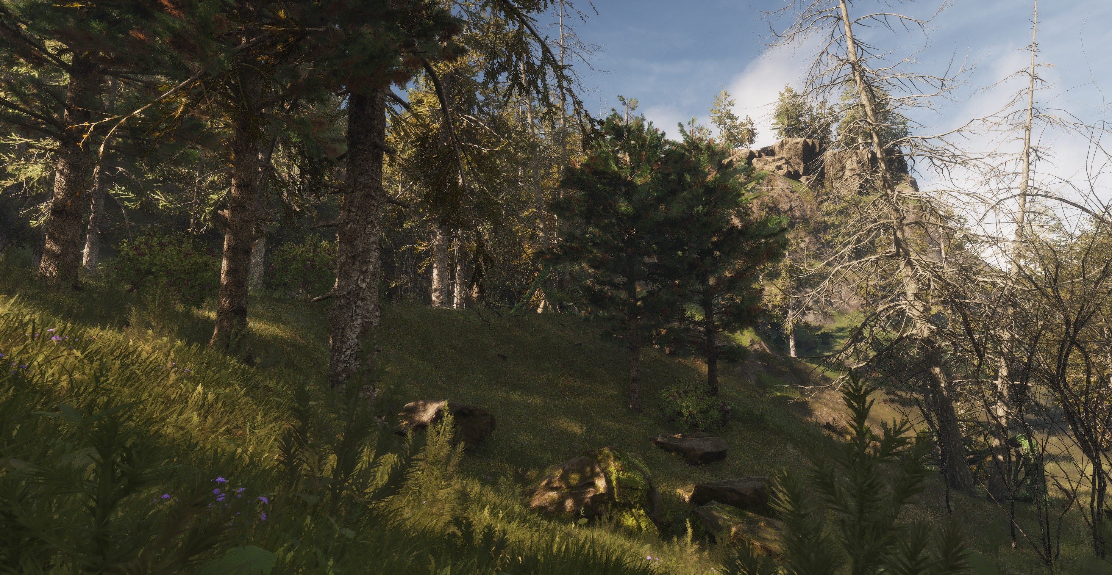 6a042a7178604-AAA.jpg