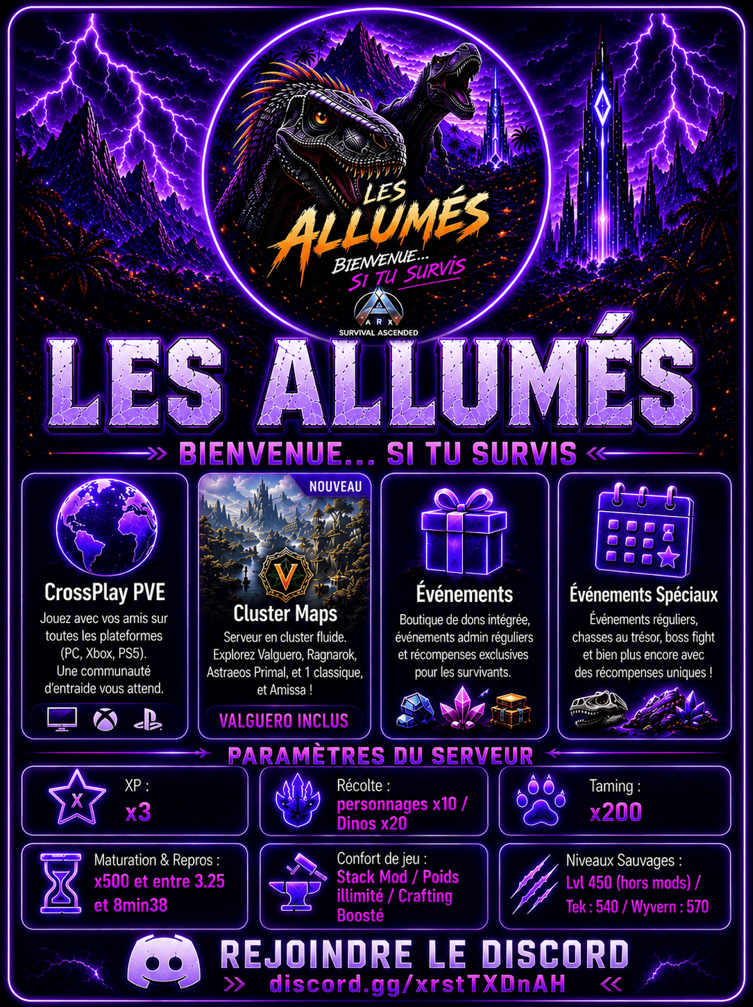 6a1db563521f2-affiche_pub_serveur_les_allumes.png