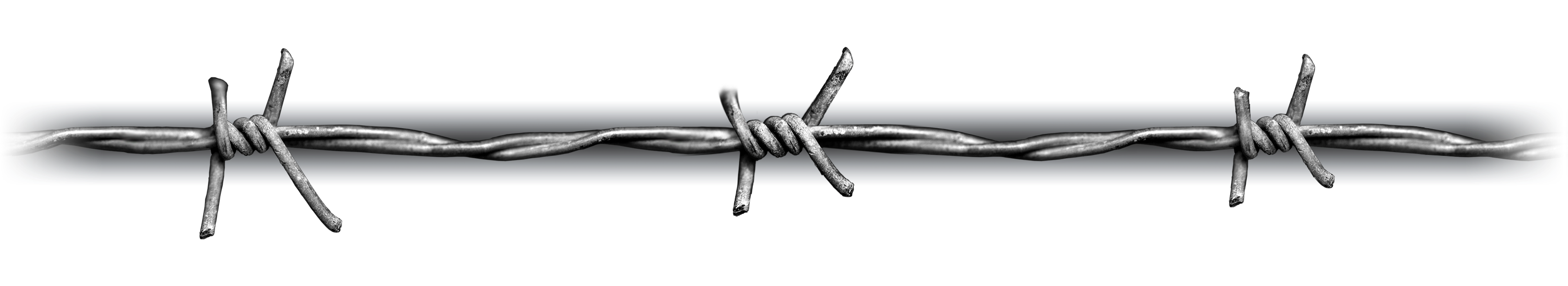 6a32ff5796823.png