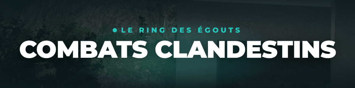 Combats clandestins