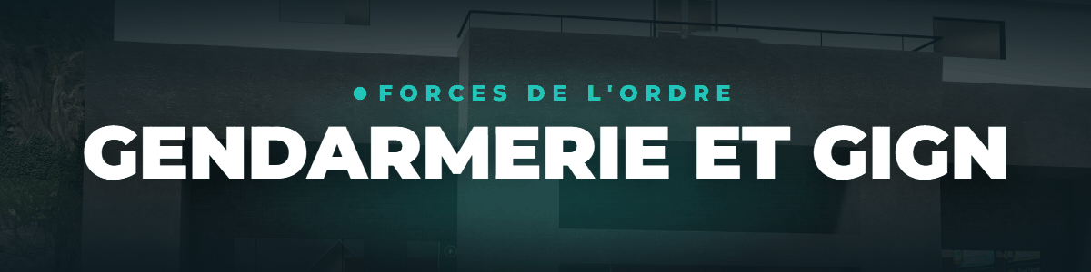 Gendarmerie et GIGN